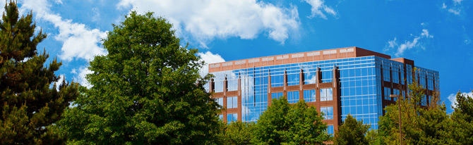 服务器攻击软件