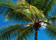 ip攻击器网页版ddos